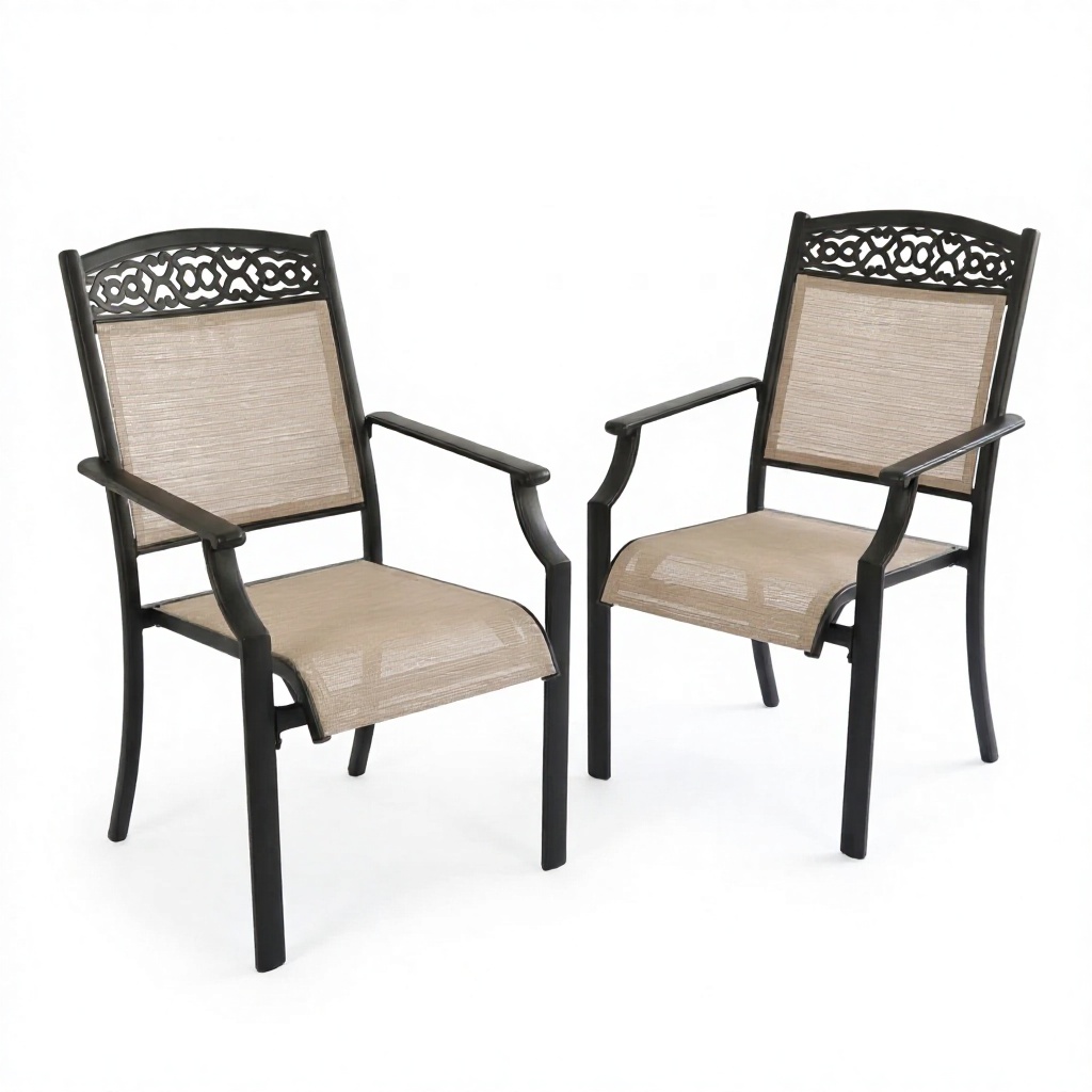 Aluminum Dining Chairs Set of 2