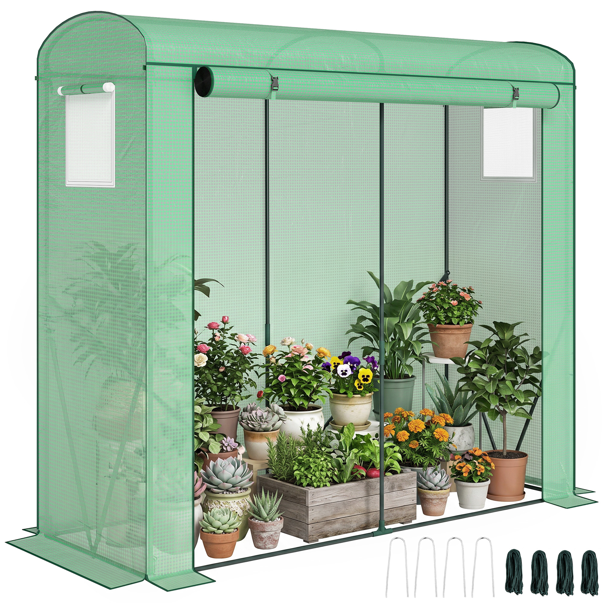 Mini Greenhouse, Garden Tomato Growhouse with Roll-Up Door and 2 Mesh Windows, PE Cover, 200 x 75 x 188 cm, Green (Drop Shipping Only, Not for Amazon)
