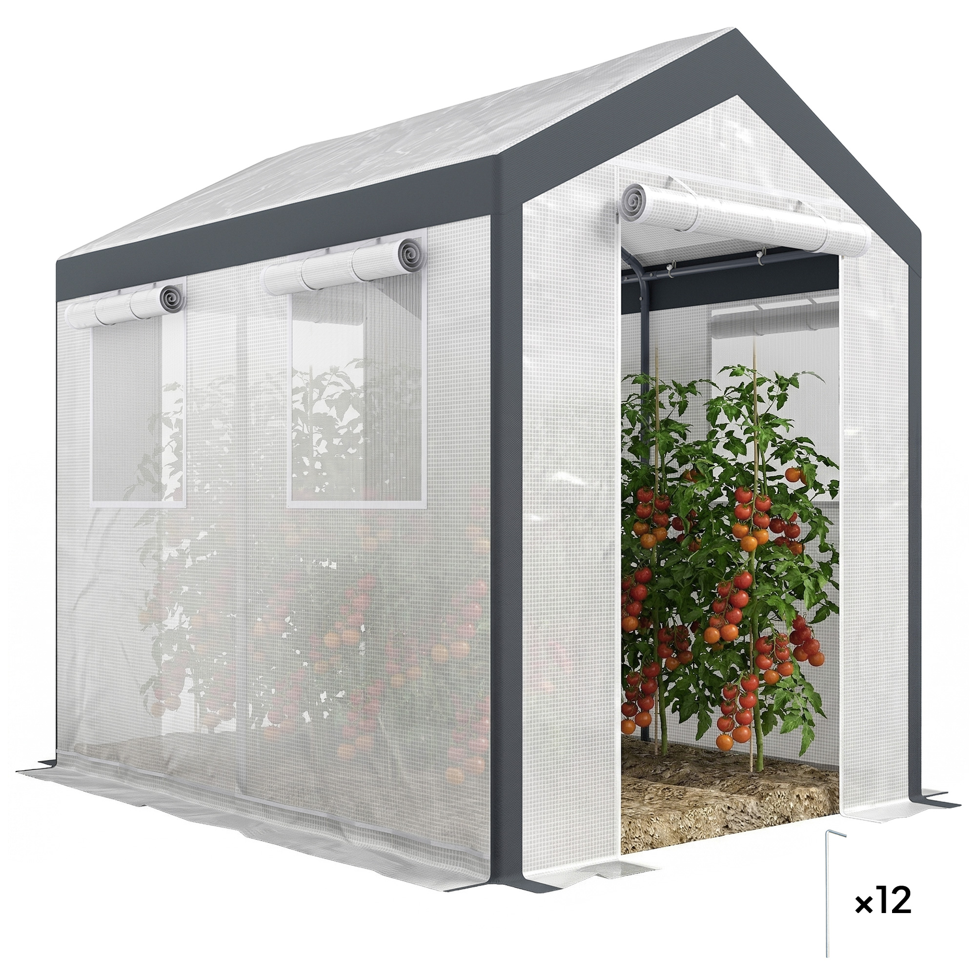 8' L x 6' W x 7' H Outdoor Walk-In Tunnel Greenhouse with Roll-up Windows, 2 Zippered Doors, & Weather Cover (Drop Shipping Only, Not for Amazon)