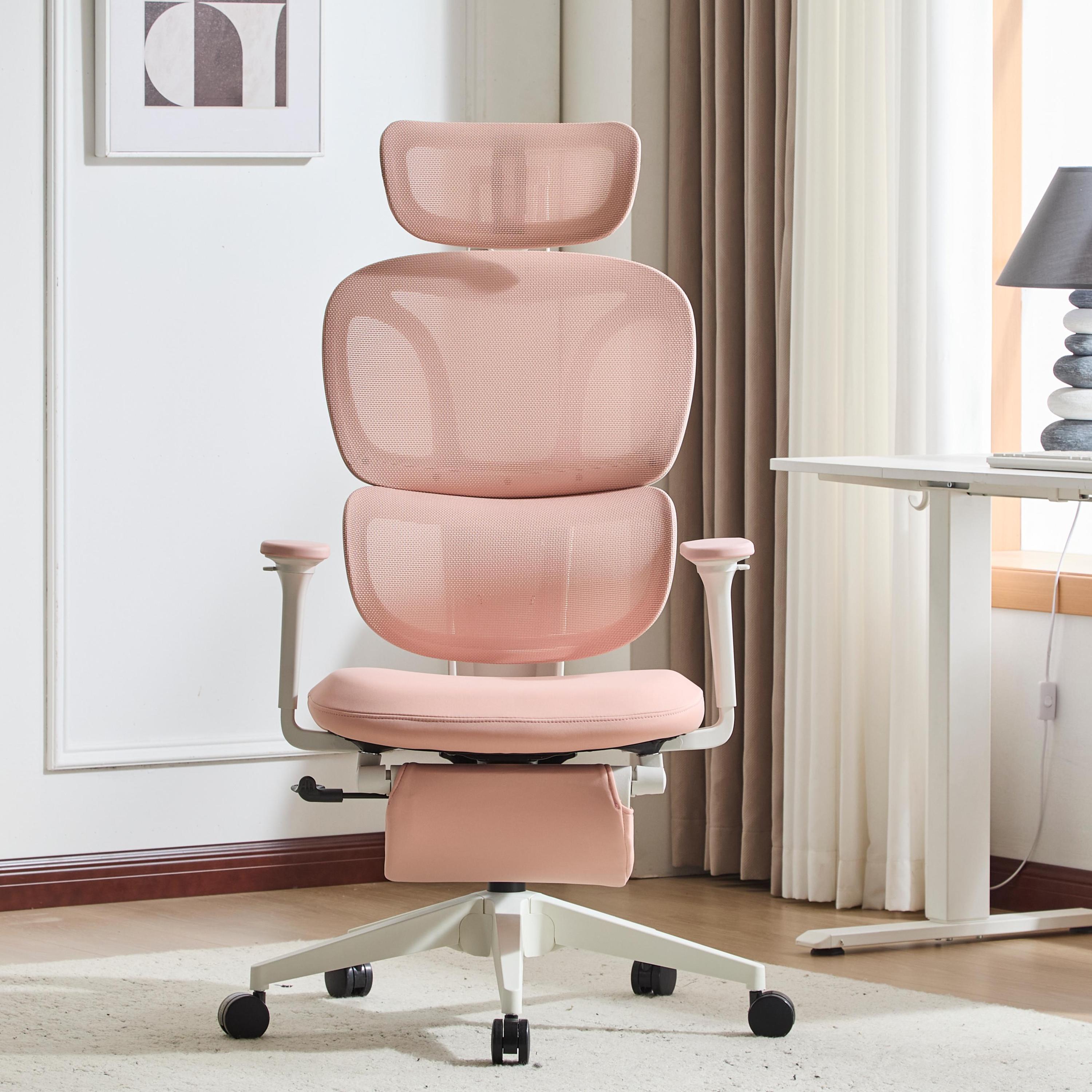 Ergonomic Office Chair with Footrest, High Back Computer Office Chair with Dynamic Lumbar Support, 2D Headrest, 2D Armrest, Sponge Seat, Mesh Home Off