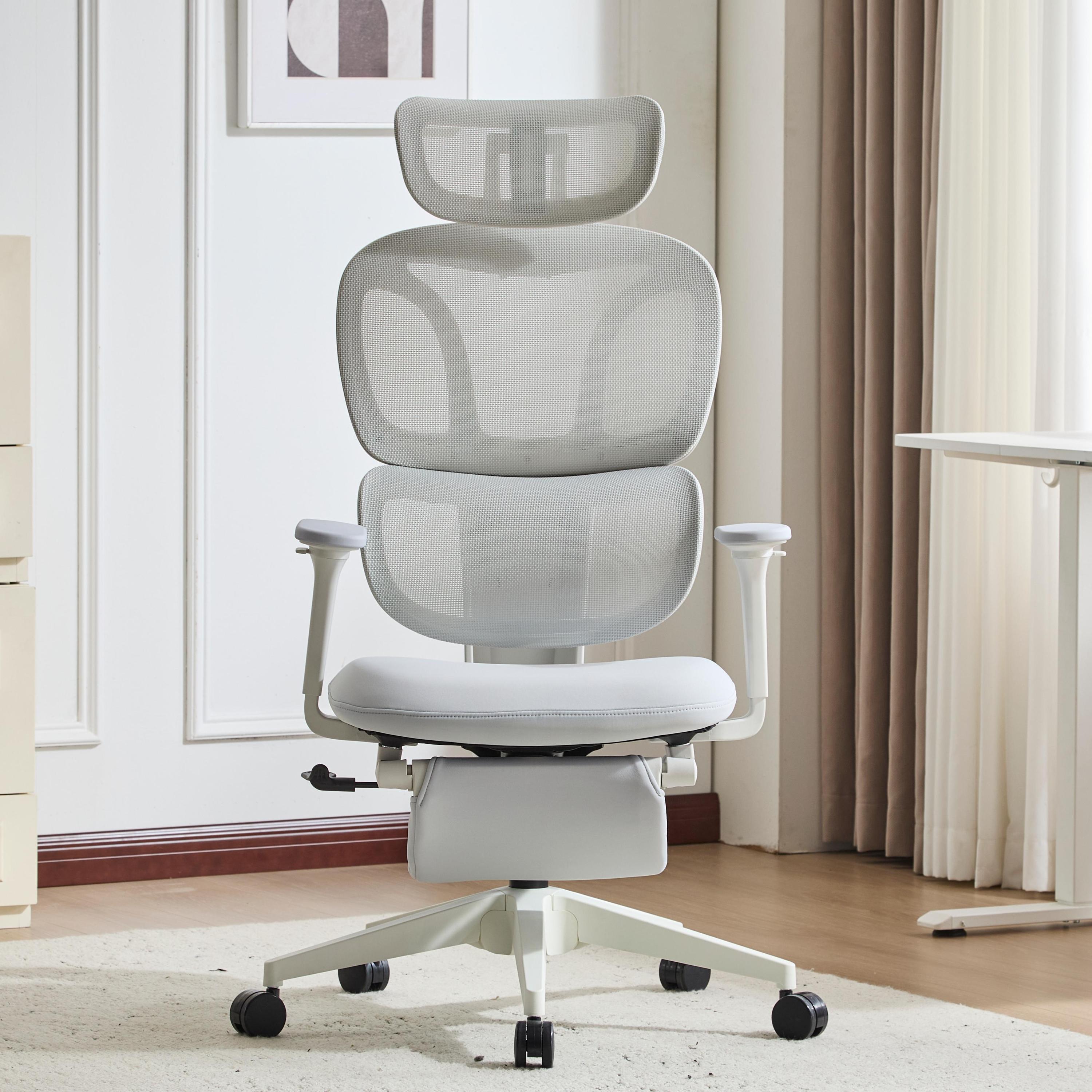 Ergonomic Office Chair with Footrest, High Back Computer Office Chair with Dynamic Lumbar Support, 2D Headrest, 2D Armrest, Sponge Seat, Mesh Home Off