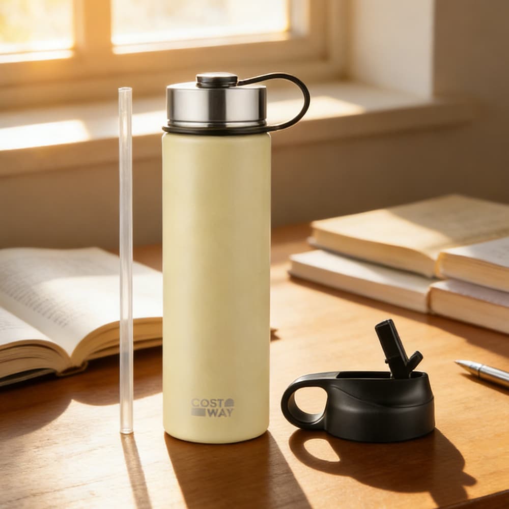 22 Oz Double-walled Insulated Stainless Steel Water Bottle with Straw Lid