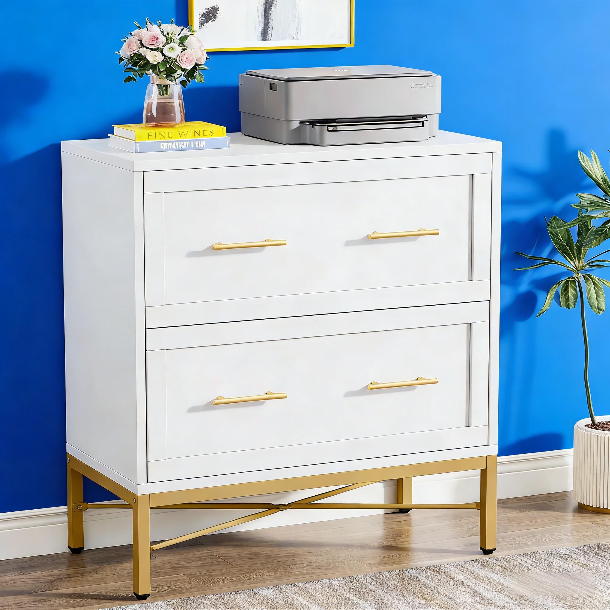2-Drawer File Cabinet, Lateral Storage Cabinet Printer StandW