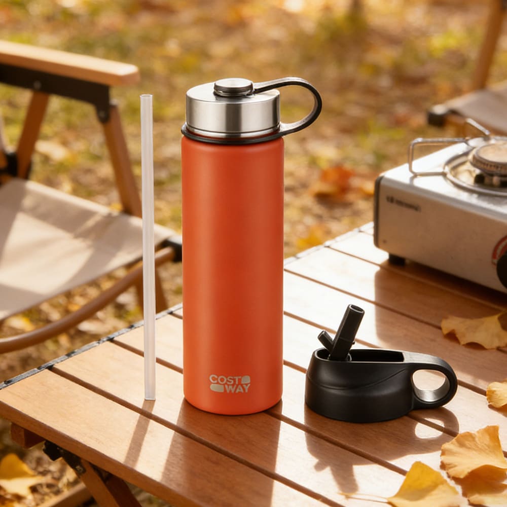 22 Oz Double-walled Insulated Stainless Steel Water Bottle with Straw Lid