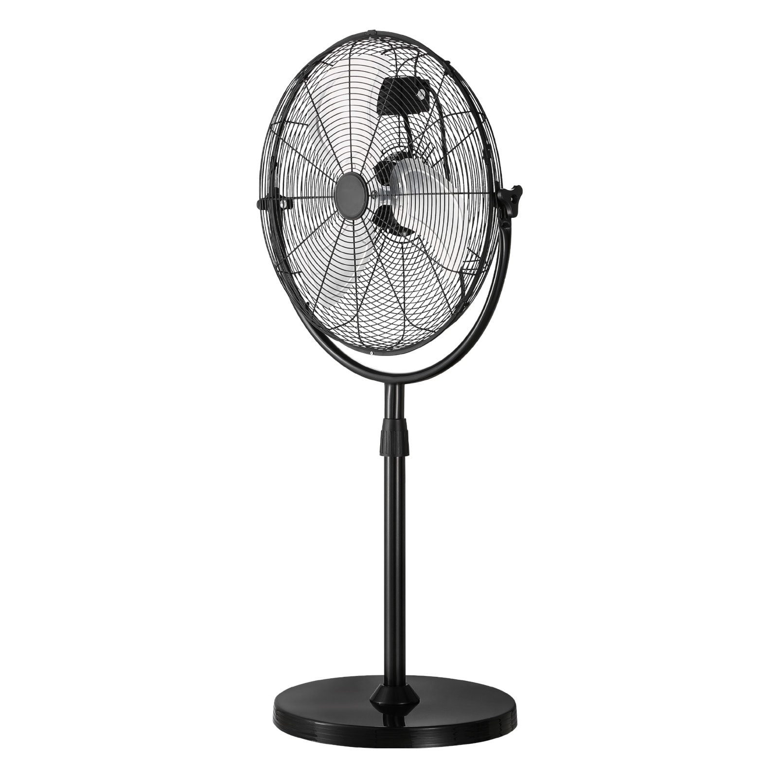20